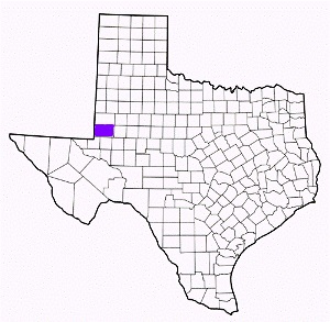 andrews county texas fire, fire departments in andrews county, andrews county tx fire stations, volunteer fire department, andrews county texas, andrews county fire station numbers, andrews county fire jobs, andrews county live dispatch, andrews county fire departments, andrews county ems, andrews county ambulance, andrews county texas firefighters