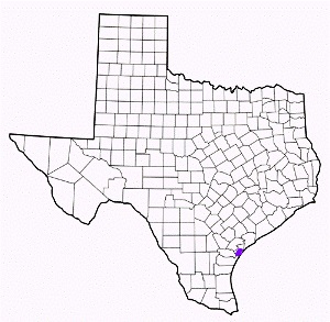 aransas county texas fire, fire departments in aransas county, aransas county tx fire stations, volunteer fire department, aransas county texas, aransas county fire station numbers, aransas county fire jobs, aransas county live dispatch, aransas county fire departments, aransas county ems, aransas county ambulance, aransas county texas firefighters