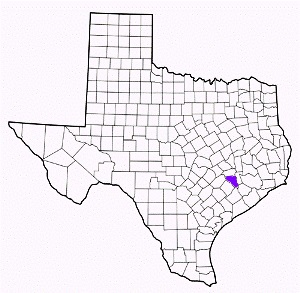 austin county texas fire, fire departments in austin county, austin county tx fire stations, volunteer fire department, austin county texas, austin county fire station numbers, austin county fire jobs, austin county live dispatch, austin county fire departments, austin county ems, austin county ambulance, austin county texas firefighters