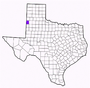 bailey county texas fire, fire departments in bailey county, bailey county tx fire stations, volunteer fire department, bailey county texas, bailey county fire station numbers, bailey county fire jobs, bailey county live dispatch, bailey county fire departments, bailey county ems, bailey county ambulance, bailey county texas firefighters
