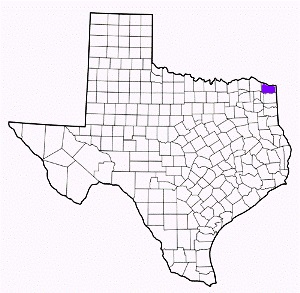 bowie county texas fire, fire departments in bowie county, bowie county tx fire stations, volunteer fire department, bowie county texas, bowie county fire station numbers, bowie county fire jobs, bowie county live dispatch, bowie county fire departments, bowie county ems, bowie county ambulance, bowie county texas firefighters