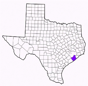 brazoria county texas fire, fire departments in brazoria county, brazoria county tx fire stations, volunteer fire department, brazoria county texas, brazoria county fire station numbers, brazoria county fire jobs, brazoria county live dispatch, brazoria county fire departments, brazoria county ems, brazoria county ambulance, brazoria county texas firefighters