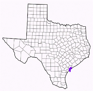 calhoun county texas fire, fire departments in calhoun county, calhoun county tx fire stations, volunteer fire department, calhoun county texas, calhoun county fire station numbers, calhoun county fire jobs, calhoun county live dispatch, calhoun county fire departments, calhoun county ems, calhoun county ambulance, calhoun county texas firefighters