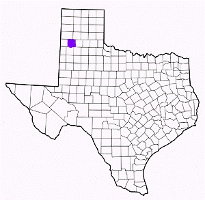 castro county texas fire, fire departments in castro county, castro county tx fire stations, volunteer fire department, castro county texas, castro county fire station numbers, castro county fire jobs, castro county live dispatch, castro county fire departments, castro county ems, castro county ambulance, castro county texas firefighters