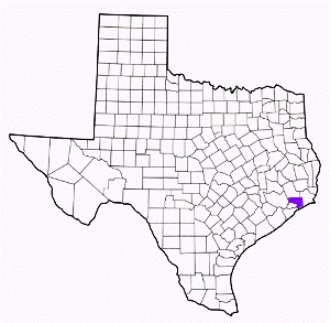 chambers county texas fire, fire departments in chambers county, chambers county tx fire stations, volunteer fire department, chambers county texas, chambers county fire station numbers, chambers county fire jobs, chambers county live dispatch, chambers county fire departments, chambers county ems, chambers county ambulance, chambers county texas firefighters