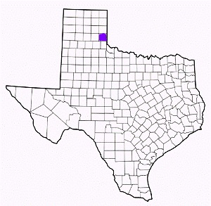 collingsworth county texas fire, fire departments in collingsworth county, collingsworth county tx fire stations, volunteer fire department, collingsworth county texas, collingsworth county fire station numbers, collingsworth county fire jobs, collingsworth county live dispatch, collingsworth county fire departments, collingsworth county ems, collingsworth county ambulance, collingsworth county texas firefighters