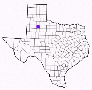 crosby county texas fire, fire departments in crosby county, crosby county tx fire stations, volunteer fire department, crosby county texas, crosby county fire station numbers, crosby county fire jobs, crosby county live dispatch, crosby county fire departments, crosby county ems, crosby county ambulance, crosby county texas firefighters