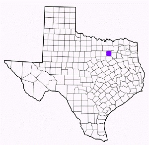 dallas county texas fire, fire departments in dallas county, dallas county tx fire stations, volunteer fire department, dallas county texas, dallas county fire station numbers, dallas county fire jobs, dallas county live dispatch, dallas county fire departments, dallas county ems, dallas county ambulance, dallas county texas firefighters