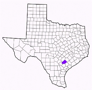 dewitt county texas fire, fire departments in dewitt county, dewitt county tx fire stations, volunteer fire department, dewitt county texas, dewitt county fire station numbers, dewitt county fire jobs, dewitt county live dispatch, dewitt county fire departments, dewitt county ems, dewitt county ambulance, dewitt county texas firefighters