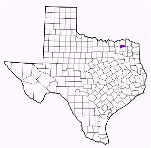 delta county texas fire, fire departments in delta county, delta county tx fire stations, volunteer fire department, delta county texas, delta county fire station numbers, delta county fire jobs, delta county live dispatch, delta county fire departments, delta county ems, delta county ambulance, delta county texas firefighters