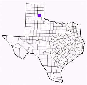 donley county texas fire, fire departments in donley county, donley county tx fire stations, volunteer fire department, donley county texas, donley county fire station numbers, donley county fire jobs, donley county live dispatch, donley county fire departments, donley county ems, donley county ambulance, donley county texas firefighters