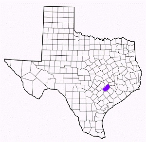 fayette county texas fire, fire departments in fayette county, fayette county tx fire stations, volunteer fire department, fayette county texas, fayette county fire station numbers, fayette county fire jobs, fayette county live dispatch, fayette county fire departments, fayette county ems, fayette county ambulance, fayette county texas firefighters