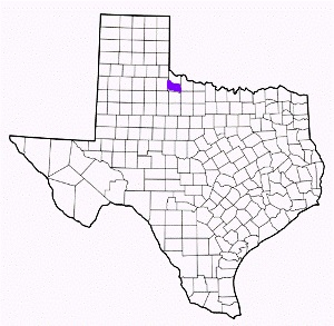 foard county texas fire, fire departments in foard county, foard county tx fire stations, volunteer fire department, foard county texas, foard county fire station numbers, foard county fire jobs, foard county live dispatch, foard county fire departments, foard county ems, foard county ambulance, foard county texas firefighters
