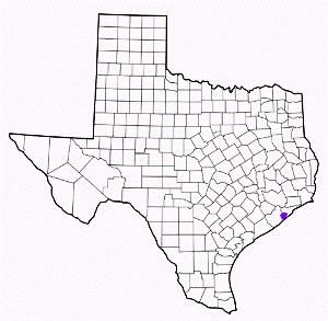 galveston county texas fire, fire departments in galveston county, galveston county tx fire stations, volunteer fire department, galveston county texas, galveston county fire station numbers, galveston county fire jobs, galveston county live dispatch, galveston county fire departments, galveston county ems, galveston county ambulance, galveston county texas firefighters