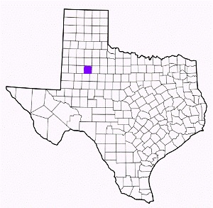 garza county texas fire, fire departments in garza county, garza county tx fire stations, volunteer fire department, garza county texas, garza county fire station numbers, garza county fire jobs, garza county live dispatch, garza county fire departments, garza county ems, garza county ambulance, garza county texas firefighters