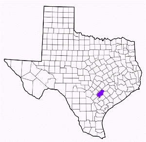gonzales county texas fire, fire departments in gonzales county, gonzales county tx fire stations, volunteer fire department, gonzales county texas, gonzales county fire station numbers, gonzales county fire jobs, gonzales county live dispatch, gonzales county fire departments, gonzales county ems, gonzales county ambulance, gonzales county texas firefighters