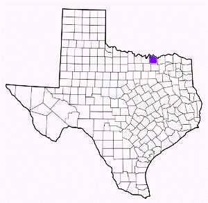 grayson county texas fire, fire departments in grayson county, grayson county tx fire stations, volunteer fire department, grayson county texas, grayson county fire station numbers, grayson county fire jobs, grayson county live dispatch, grayson county fire departments, grayson county ems, grayson county ambulance, grayson county texas firefighters