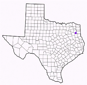gregg county texas fire, fire departments in gregg county, gregg county tx fire stations, volunteer fire department, gregg county texas, gregg county fire station numbers, gregg county fire jobs, gregg county live dispatch, gregg county fire departments, gregg county ems, gregg county ambulance, gregg county texas firefighters