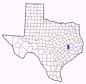 grimes county texas fire, fire departments in grimes county, grimes county tx fire stations, volunteer fire department, grimes county texas, grimes county fire station numbers, grimes county fire jobs, grimes county live dispatch, grimes county fire departments, grimes county ems, grimes county ambulance, grimes county texas firefighters