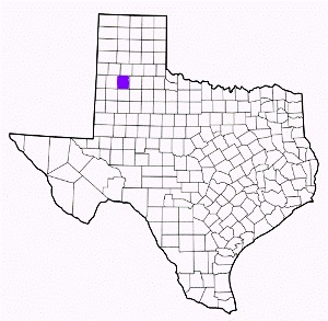 hale county texas fire, fire departments in hale county, hale county tx fire stations, volunteer fire department, hale county texas, hale county fire station numbers, hale county fire jobs, hale county live dispatch, hale county fire departments, hale county ems, hale county ambulance, hale county texas firefighters