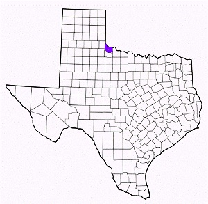 hardeman county texas fire, fire departments in hardeman county, hardeman county tx fire stations, volunteer fire department, hardeman county texas, hardeman county fire station numbers, hardeman county fire jobs, hardeman county live dispatch, hardeman county fire departments, hardeman county ems, hardeman county ambulance, hardeman county texas firefighters
