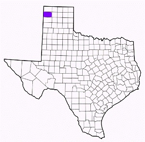 hartley county texas fire, fire departments in hartley county, hartley county tx fire stations, volunteer fire department, hartley county texas, hartley county fire station numbers, hartley county fire jobs, hartley county live dispatch, hartley county fire departments, hartley county ems, hartley county ambulance, hartley county texas firefighters