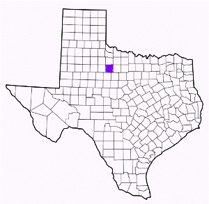 haskell county texas fire, fire departments in haskell county, haskell county tx fire stations, volunteer fire department, haskell county texas, haskell county fire station numbers, haskell county fire jobs, haskell county live dispatch, haskell county fire departments, haskell county ems, haskell county ambulance, haskell county texas firefighters
