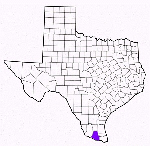 hidalgo county texas fire, fire departments in hidalgo county, hidalgo county tx fire stations, volunteer fire department, hidalgo county texas, hidalgo county fire station numbers, hidalgo county fire jobs, hidalgo county live dispatch, hidalgo county fire departments, hidalgo county ems, hidalgo county ambulance, hidalgo county texas firefighters