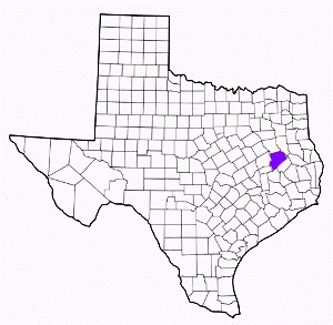 houston county texas fire, fire departments in houston county, houston county tx fire stations, volunteer fire department, houston county texas, houston county fire station numbers, houston county fire jobs, houston county live dispatch, houston county fire departments, houston county ems, houston county ambulance, houston county texas firefighters