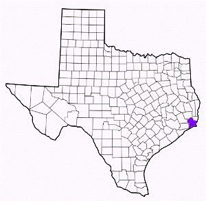 jefferson county texas fire, fire departments in jefferson county, jefferson county tx fire stations, volunteer fire department, jefferson county texas, jefferson county fire station numbers, jefferson county fire jobs, jefferson county live dispatch, jefferson county fire departments, jefferson county ems, jefferson county ambulance, jefferson county texas firefighters
