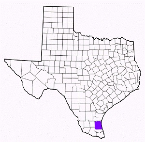 kenedy county texas fire, fire departments in kenedy county, kenedy county tx fire stations, volunteer fire department, kenedy county texas, kenedy county fire station numbers, kenedy county fire jobs, kenedy county live dispatch, kenedy county fire departments, kenedy county ems, kenedy county ambulance, kenedy county texas firefighters