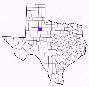 kent county texas fire, fire departments in kent county, kent county tx fire stations, volunteer fire department, kent county texas, kent county fire station numbers, kent county fire jobs, kent county live dispatch, kent county fire departments, kent county ems, kent county ambulance, kent county texas firefighters