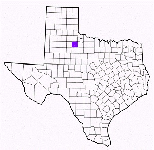 king county texas fire, fire departments in king county, king county tx fire stations, volunteer fire department, king county texas, king county fire station numbers, king county fire jobs, king county live dispatch, king county fire departments, king county ems, king county ambulance, king county texas firefighters