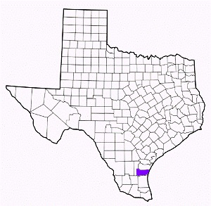kleberg county texas fire, fire departments in kleberg county, kleberg county tx fire stations, volunteer fire department, kleberg county texas, kleberg county fire station numbers, kleberg county fire jobs, kleberg county live dispatch, kleberg county fire departments, kleberg county ems, kleberg county ambulance, kleberg county texas firefighters