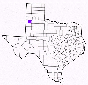 lamb county texas fire, fire departments in lamb county, lamb county tx fire stations, volunteer fire department, lamb county texas, lamb county fire station numbers, lamb county fire jobs, lamb county live dispatch, lamb county fire departments, lamb county ems, lamb county ambulance, lamb county texas firefighters