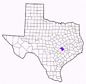 lee county texas fire, fire departments in lee county, lee county tx fire stations, volunteer fire department, lee county texas, lee county fire station numbers, lee county fire jobs, lee county live dispatch, lee county fire departments, lee county ems, lee county ambulance, lee county texas firefighters