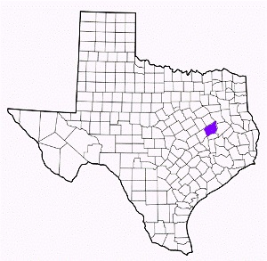 leon county texas fire, fire departments in leon county, leon county tx fire stations, volunteer fire department, leon county texas, leon county fire station numbers, leon county fire jobs, leon county live dispatch, leon county fire departments, leon county ems, leon county ambulance, leon county texas firefighters