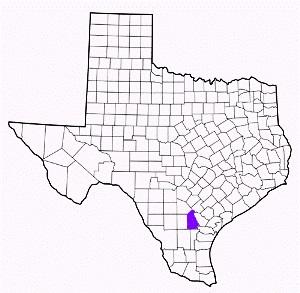 live oak county texas fire, fire departments in live oak county, live oak county tx fire stations, volunteer fire department, live oak county texas, live oak county fire station numbers, live oak county fire jobs, live oak county live dispatch, live oak county fire departments, live oak county ems, live oak county ambulance, live oak county texas firefighters