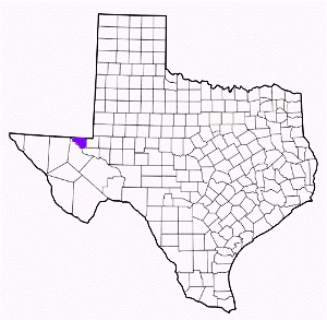 loving county texas fire, fire departments in loving county, loving county tx fire stations, volunteer fire department, loving county texas, loving county fire station numbers, loving county fire jobs, loving county live dispatch, loving county fire departments, loving county ems, loving county ambulance, loving county texas firefighters