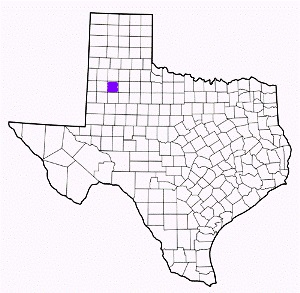 lubbock county texas fire, fire departments in lubbock county, lubbock county tx fire stations, volunteer fire department, lubbock county texas, lubbock county fire station numbers, lubbock county fire jobs, lubbock county live dispatch, lubbock county fire departments, lubbock county ems, lubbock county ambulance, lubbock county texas firefighters