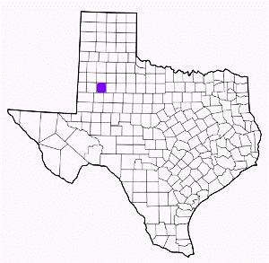lynn county texas fire, fire departments in lynn county, lynn county tx fire stations, volunteer fire department, lynn county texas, lynn county fire station numbers, lynn county fire jobs, lynn county live dispatch, lynn county fire departments, lynn county ems, lynn county ambulance, lynn county texas firefighters