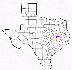 madison county texas fire, fire departments in madison county, madison county tx fire stations, volunteer fire department, madison county texas, madison county fire station numbers, madison county fire jobs, madison county live dispatch, madison county fire departments, madison county ems, madison county ambulance, madison county texas firefighters