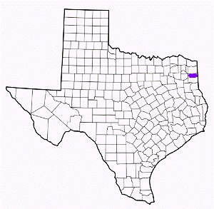 marion county texas fire, fire departments in marion county, marion county tx fire stations, volunteer fire department, marion county texas, marion county fire station numbers, marion county fire jobs, marion county live dispatch, marion county fire departments, marion county ems, marion county ambulance, marion county texas firefighters