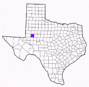 martin county texas fire, fire departments in martin county, martin county tx fire stations, volunteer fire department, martin county texas, martin county fire station numbers, martin county fire jobs, martin county live dispatch, martin county fire departments, martin county ems, martin county ambulance, martin county texas firefighters