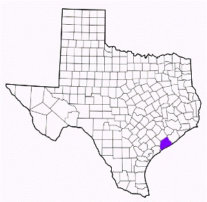 matagorda county texas fire, fire departments in matagorda county, matagorda county tx fire stations, volunteer fire department, matagorda county texas, matagorda county fire station numbers, matagorda county fire jobs, matagorda county live dispatch, matagorda county fire departments, matagorda county ems, matagorda county ambulance, matagorda county texas firefighters