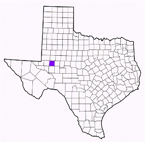 midland county texas fire, fire departments in midland county, midland county tx fire stations, volunteer fire department, midland county texas, midland county fire station numbers, midland county fire jobs, midland county live dispatch, midland county fire departments, midland county ems, midland county ambulance, midland county texas firefighters