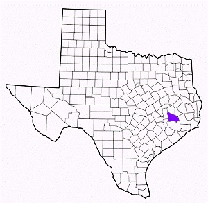 montgomery county texas fire, fire departments in montgomery county, montgomery county tx fire stations, volunteer fire department, montgomery county texas, montgomery county fire station numbers, montgomery county fire jobs, montgomery county live dispatch, montgomery county fire departments, montgomery county ems, montgomery county ambulance, montgomery county texas firefighters