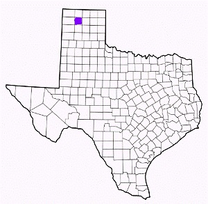 moore county texas fire, fire departments in moore county, moore county tx fire stations, volunteer fire department, moore county texas, moore county fire station numbers, moore county fire jobs, moore county live dispatch, moore county fire departments, moore county ems, moore county ambulance, moore county texas firefighters