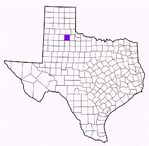 motley county texas fire, fire departments in motley county, motley county tx fire stations, volunteer fire department, motley county texas, motley county fire station numbers, motley county fire jobs, motley county live dispatch, motley county fire departments, motley county ems, motley county ambulance, motley county texas firefighters