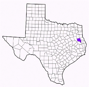 nacogdoches county texas fire, fire departments in nacogdoches county, nacogdoches county tx fire stations, volunteer fire department, nacogdoches county texas, nacogdoches county fire station numbers, nacogdoches county fire jobs, nacogdoches county live dispatch, nacogdoches county fire departments, nacogdoches county ems, nacogdoches county ambulance, nacogdoches county texas firefighters